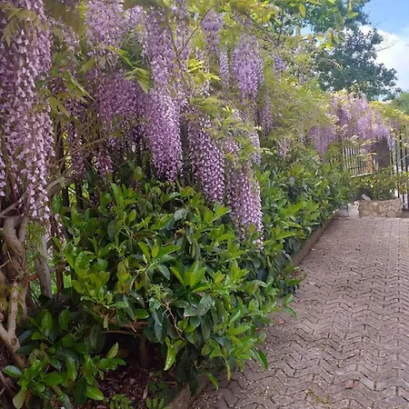 Bed And Breakfast فندق مبيت وإفطار *
